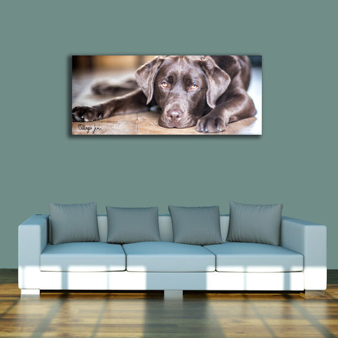 PANORAMIC - CHOCOLATE FLOORBOARDS - 1.2m x 50cm